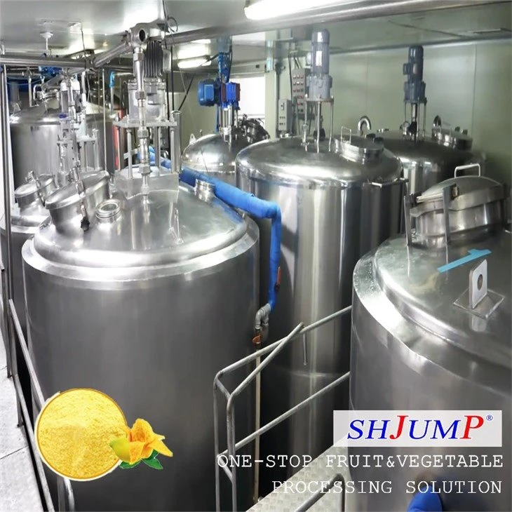 Mango Powder Processing Line