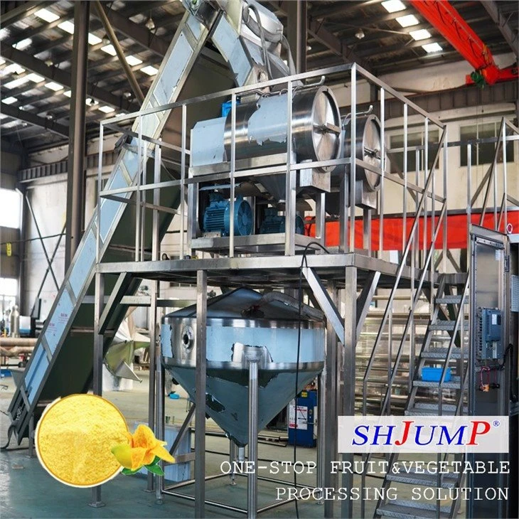 Mango Powder Processing Line