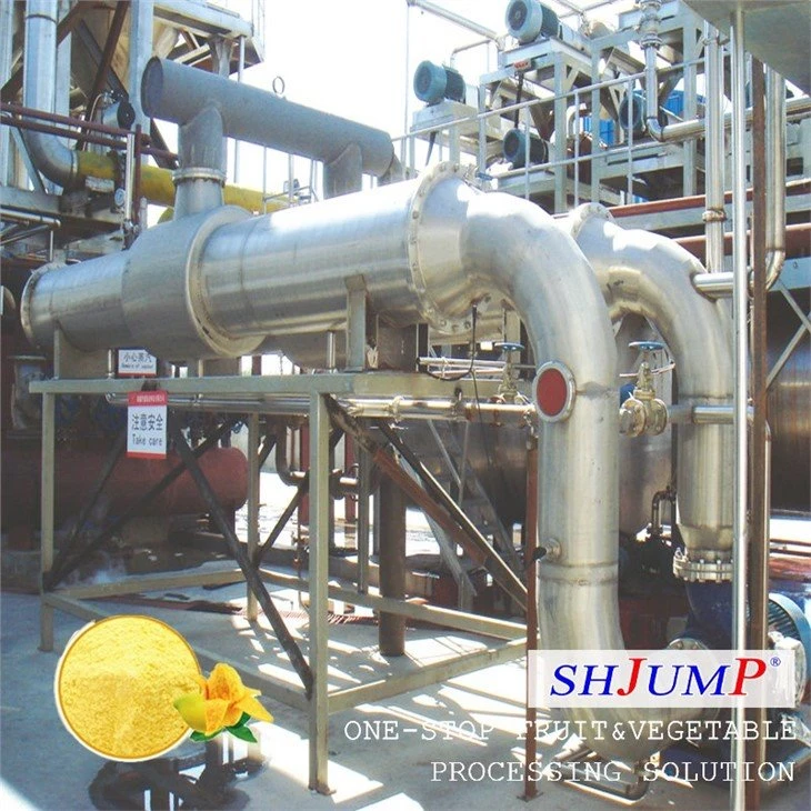 Mango Powder Processing Line