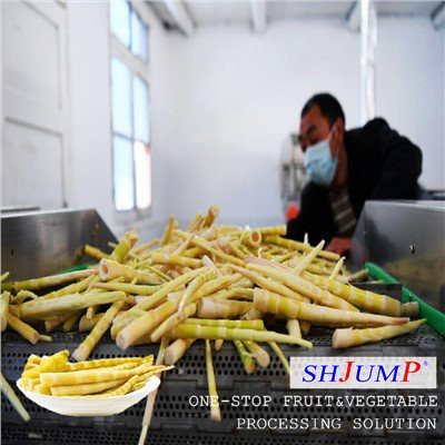 죽순 가공 라인