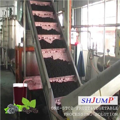 블랙베리 퓌레 공정 라인