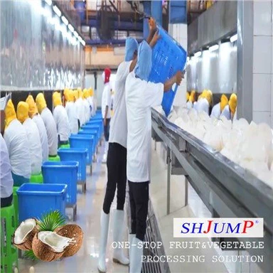 코코넛 주스 공정 라인