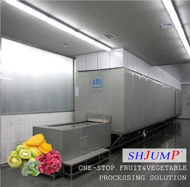 급속 냉동 과일 공정 라인