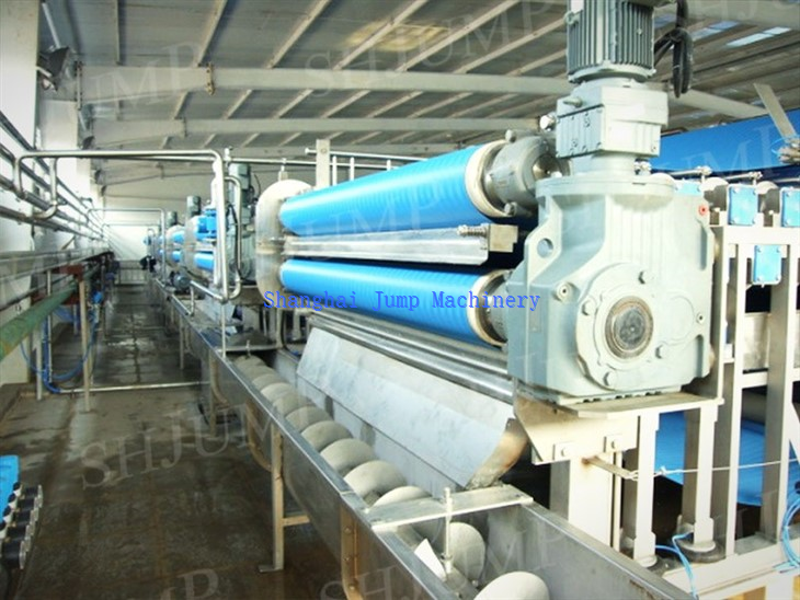 Belt Juice Extractor(juicer)